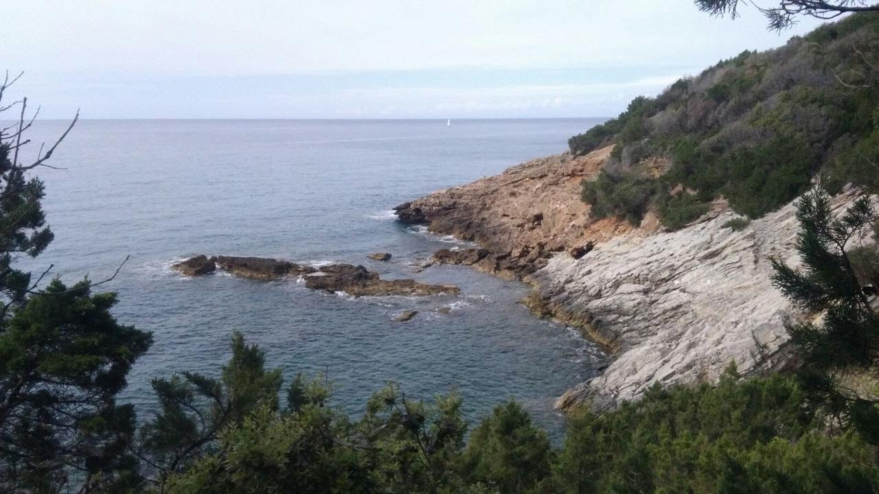 Casa San Giuseppe - Isola D'Elba Hotell Cavo Exteriör bild